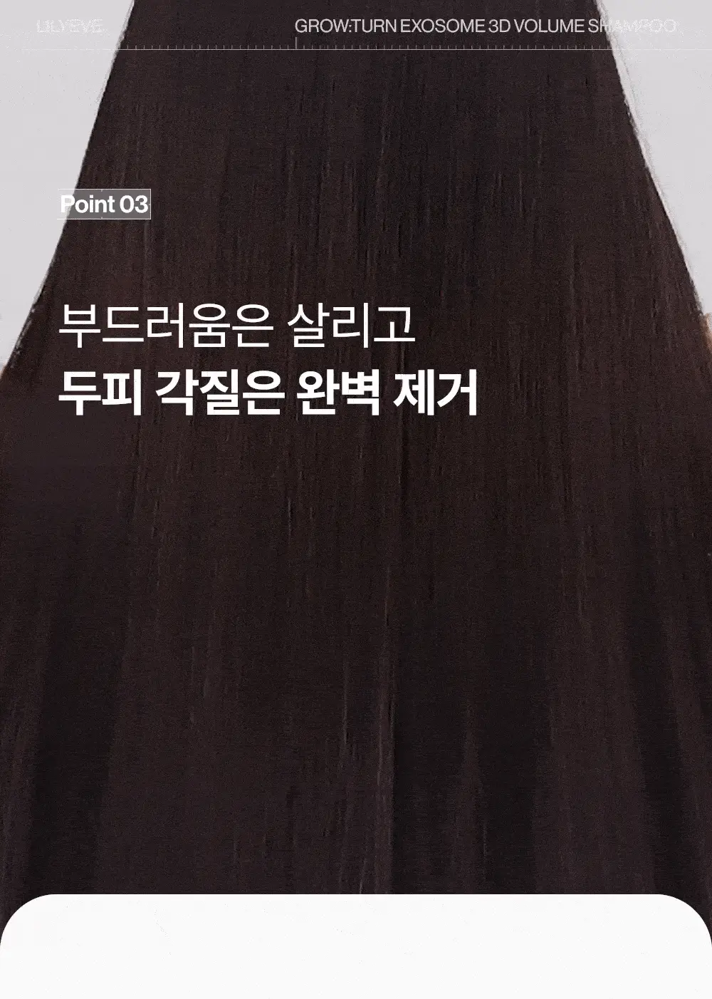 [포켓몬 에디션][50시간볼륨지속]] 릴리이브 그로우턴 3D 볼륨 샴푸 대용량 500ml (단품/기획*) 상세페이지 63